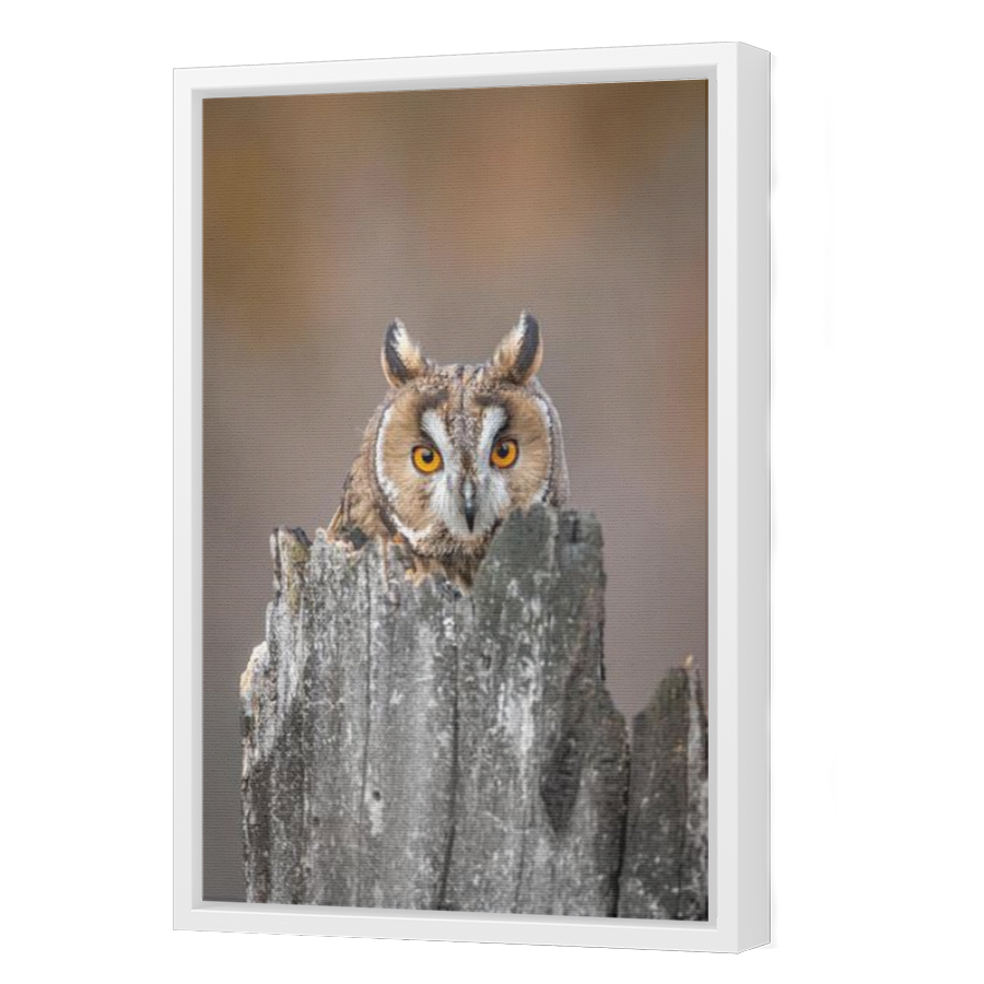 Thumbnail for Canvas - White Floating Frame