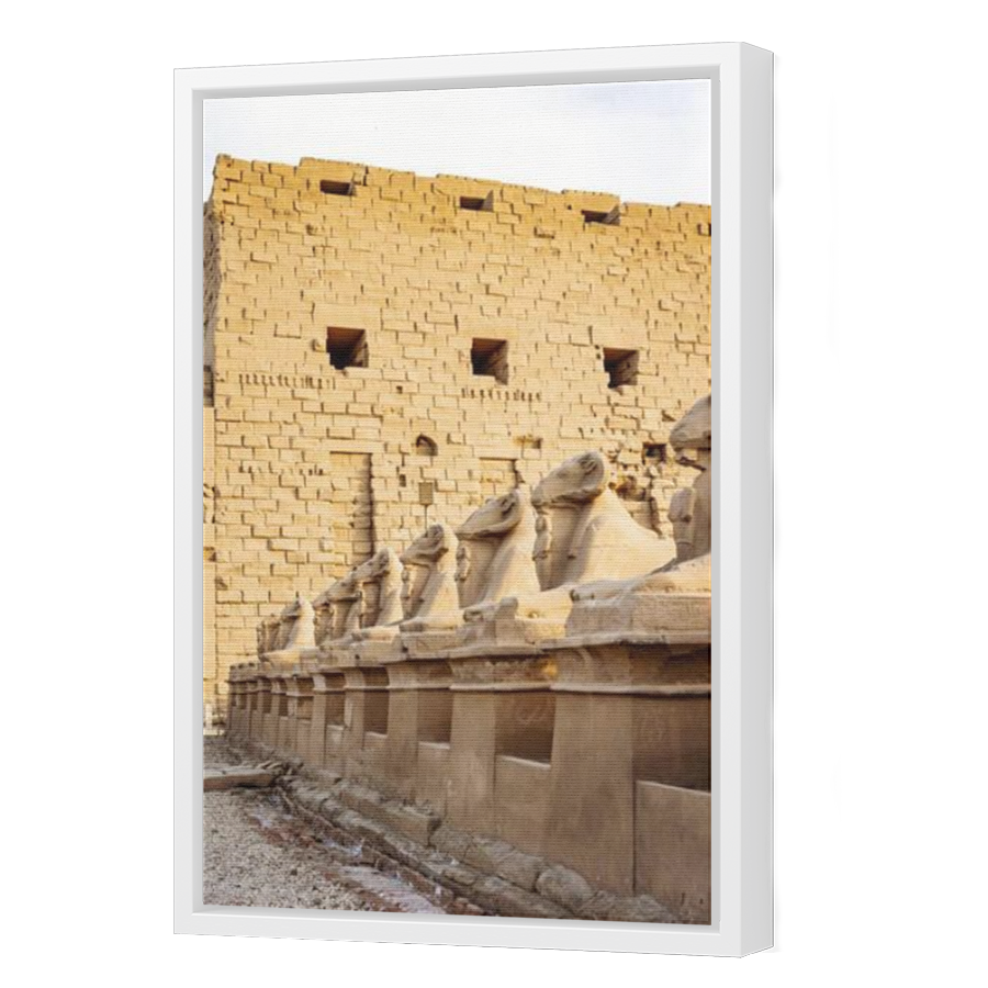 Thumbnail for Canvas - White Floating Frame