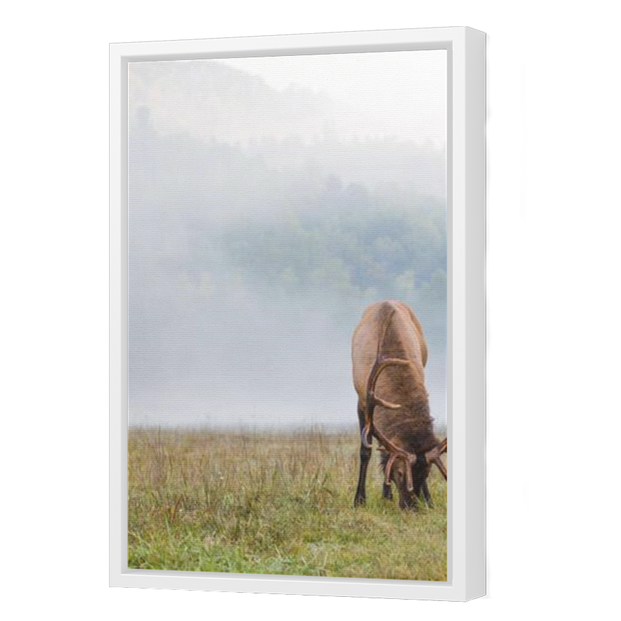 Thumbnail for Canvas - White Floating Frame