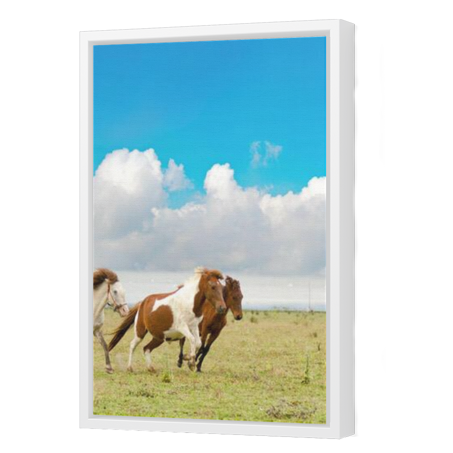 Thumbnail for Canvas - White Floating Frame
