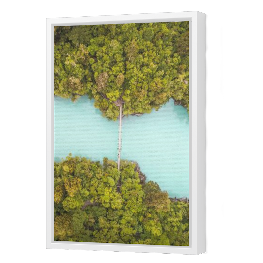 Thumbnail for Canvas - White Floating Frame