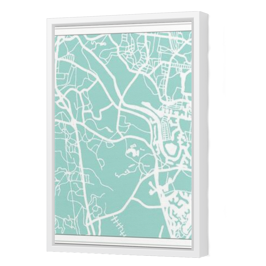 Thumbnail for Canvas - White Floating Frame