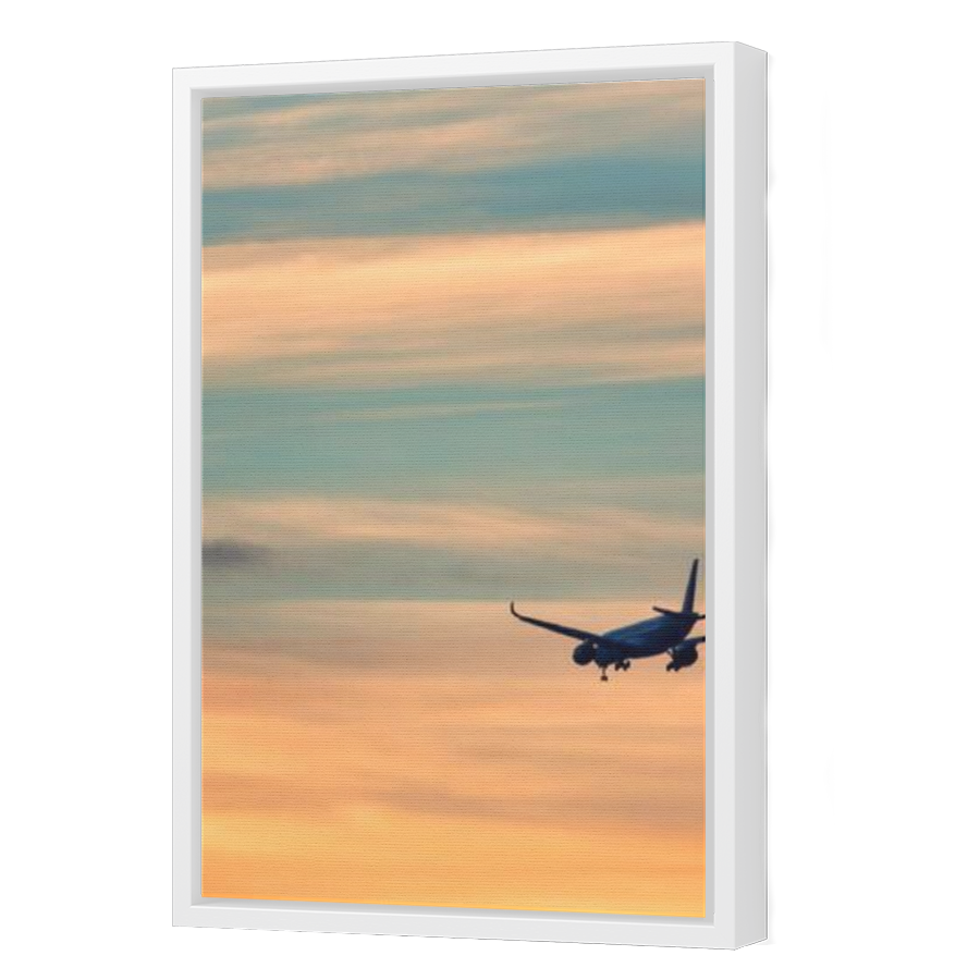 Thumbnail for Canvas - White Floating Frame