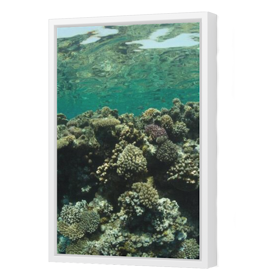 Thumbnail for Canvas - White Floating Frame