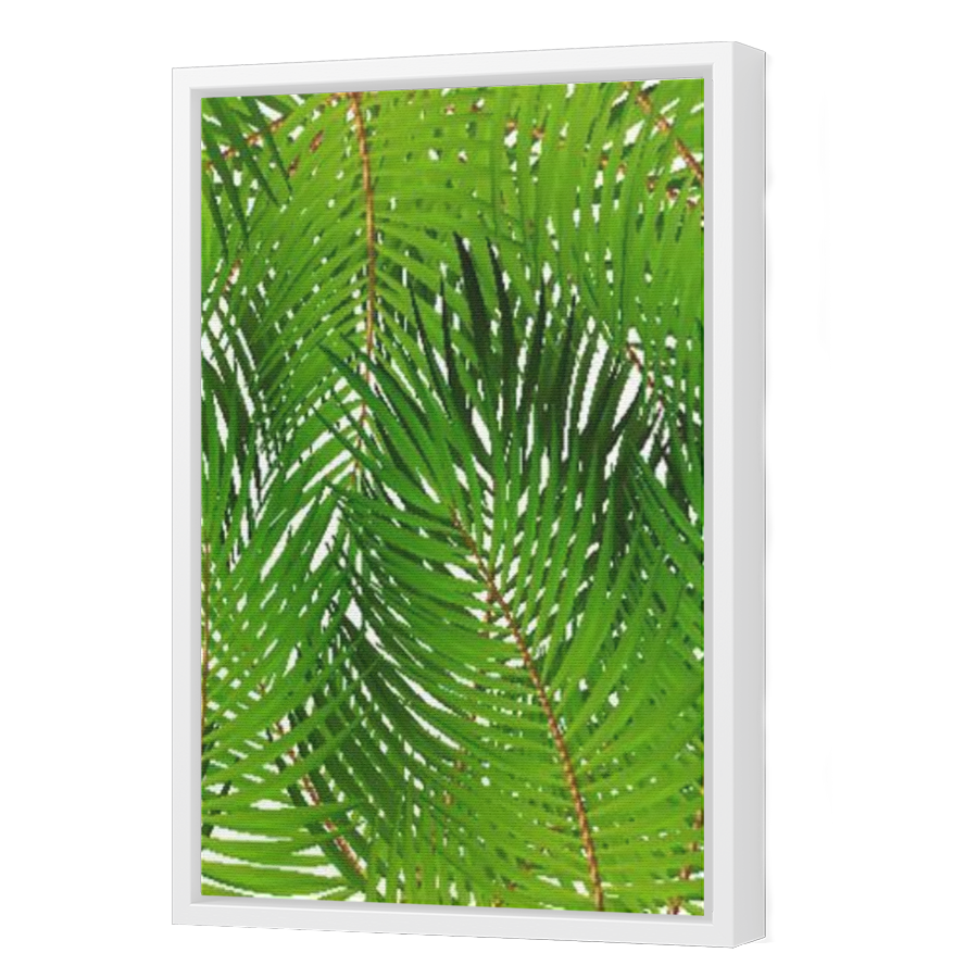 Thumbnail for Canvas - White Floating Frame