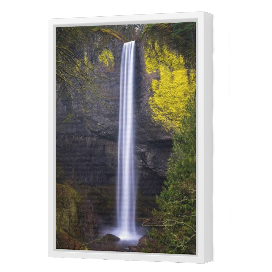 Thumbnail for Canvas - White Floating Frame