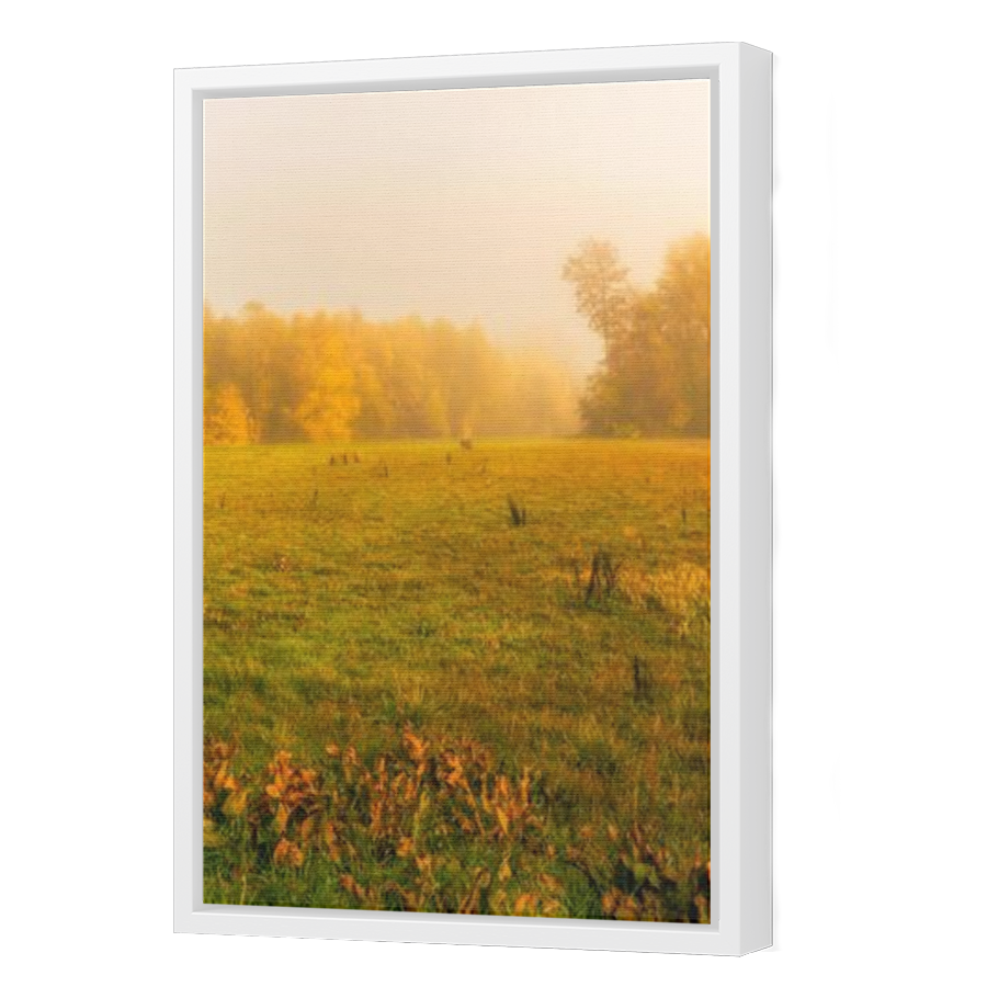 Thumbnail for Canvas - White Floating Frame