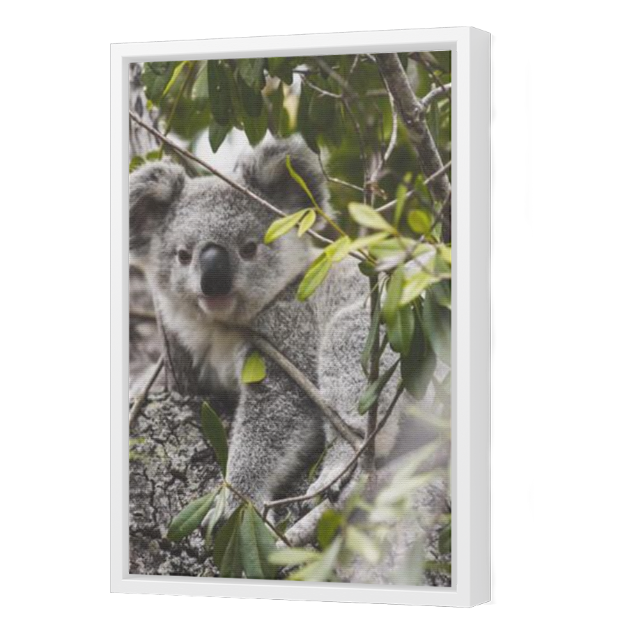 Thumbnail for Canvas - White Floating Frame