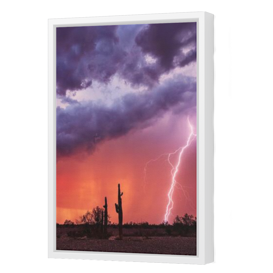 Thumbnail for Canvas - White Floating Frame