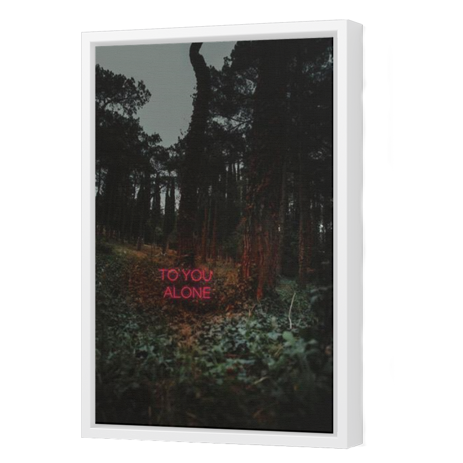 Thumbnail for Canvas - White Floating Frame