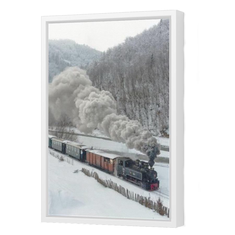 Thumbnail for Canvas - White Floating Frame