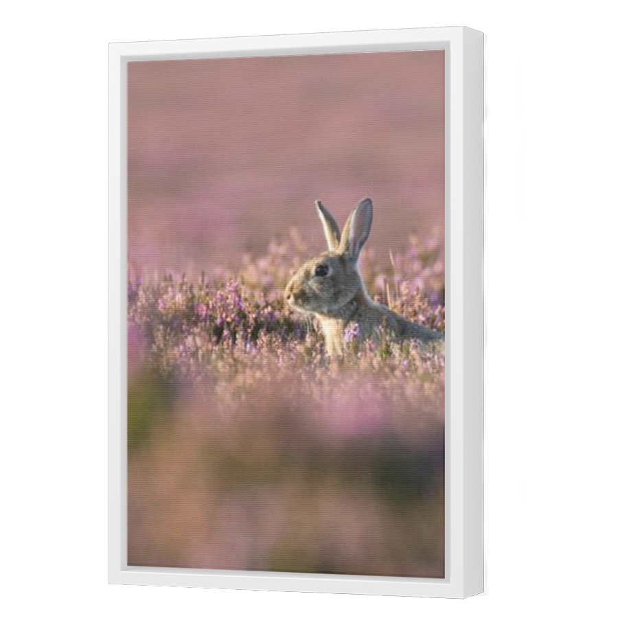 Thumbnail for Canvas - White Floating Frame