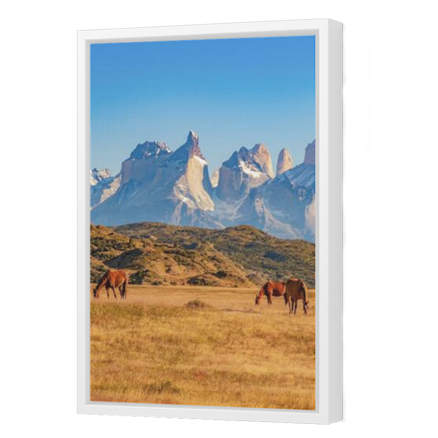 Thumbnail for Canvas - White Floating Frame