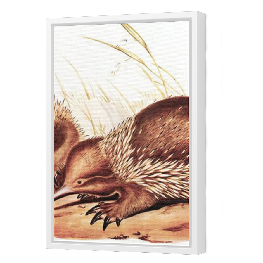 Thumbnail for Canvas - White Floating Frame