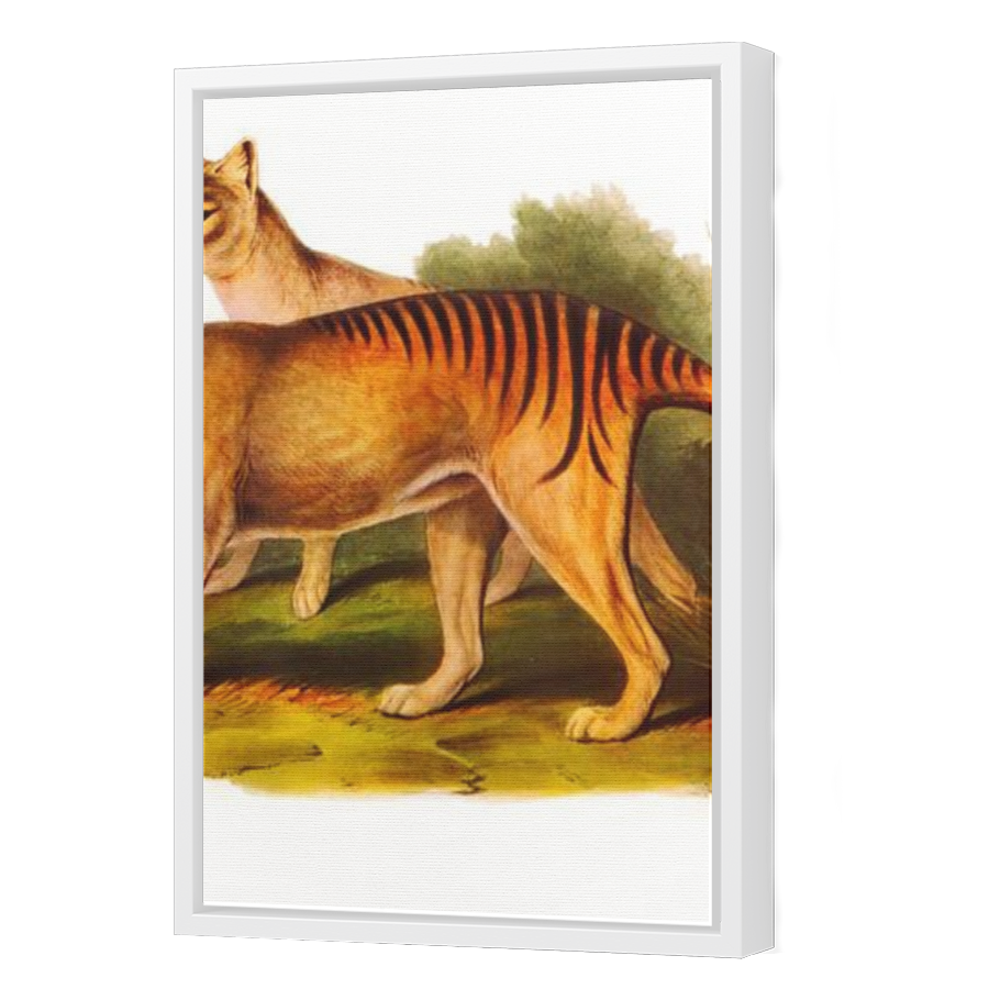 Thumbnail for Canvas - White Floating Frame