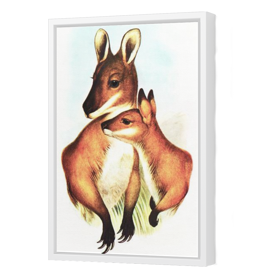 Thumbnail for Canvas - White Floating Frame