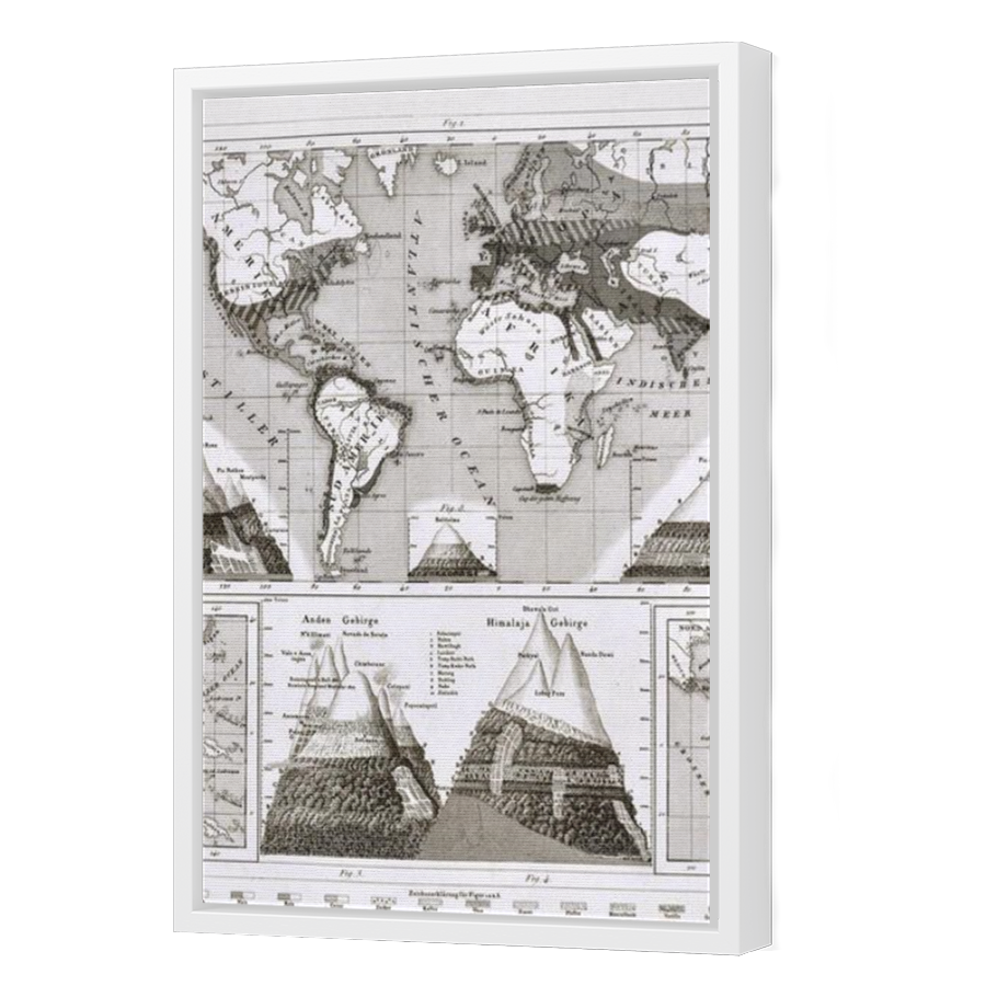 Thumbnail for Canvas - White Floating Frame