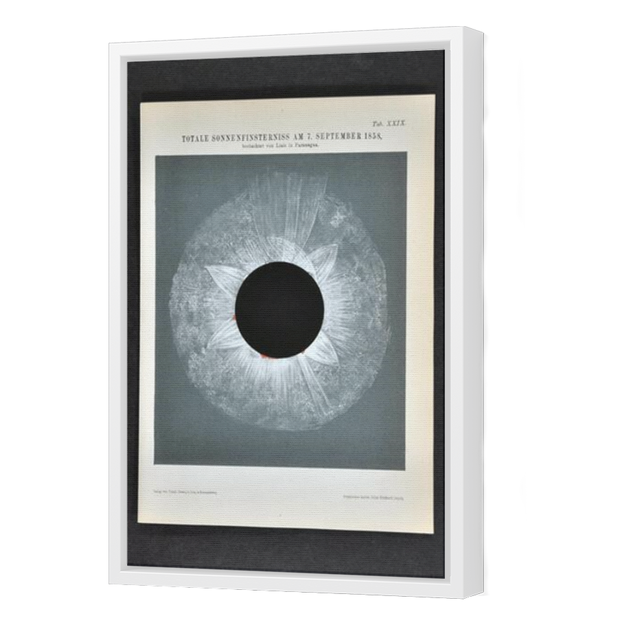 Thumbnail for Canvas - White Floating Frame