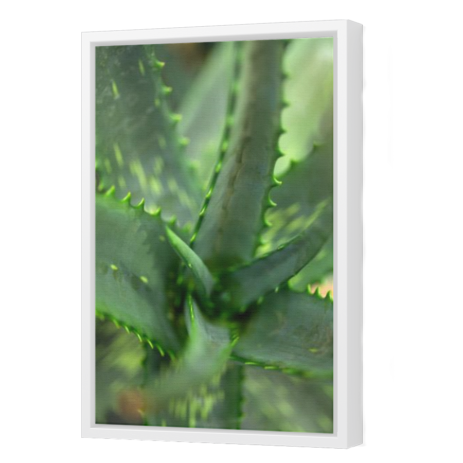 Thumbnail for Canvas - White Floating Frame