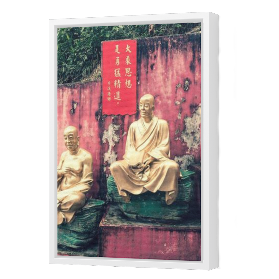 Thumbnail for Canvas - White Floating Frame