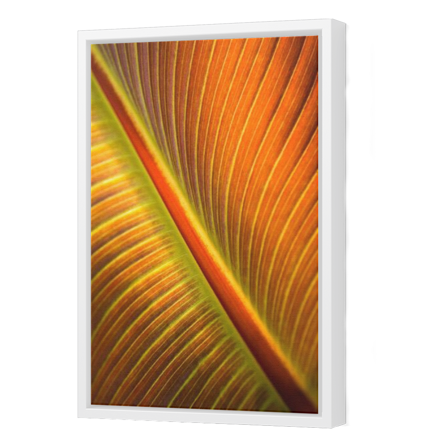 Thumbnail for Canvas - White Floating Frame