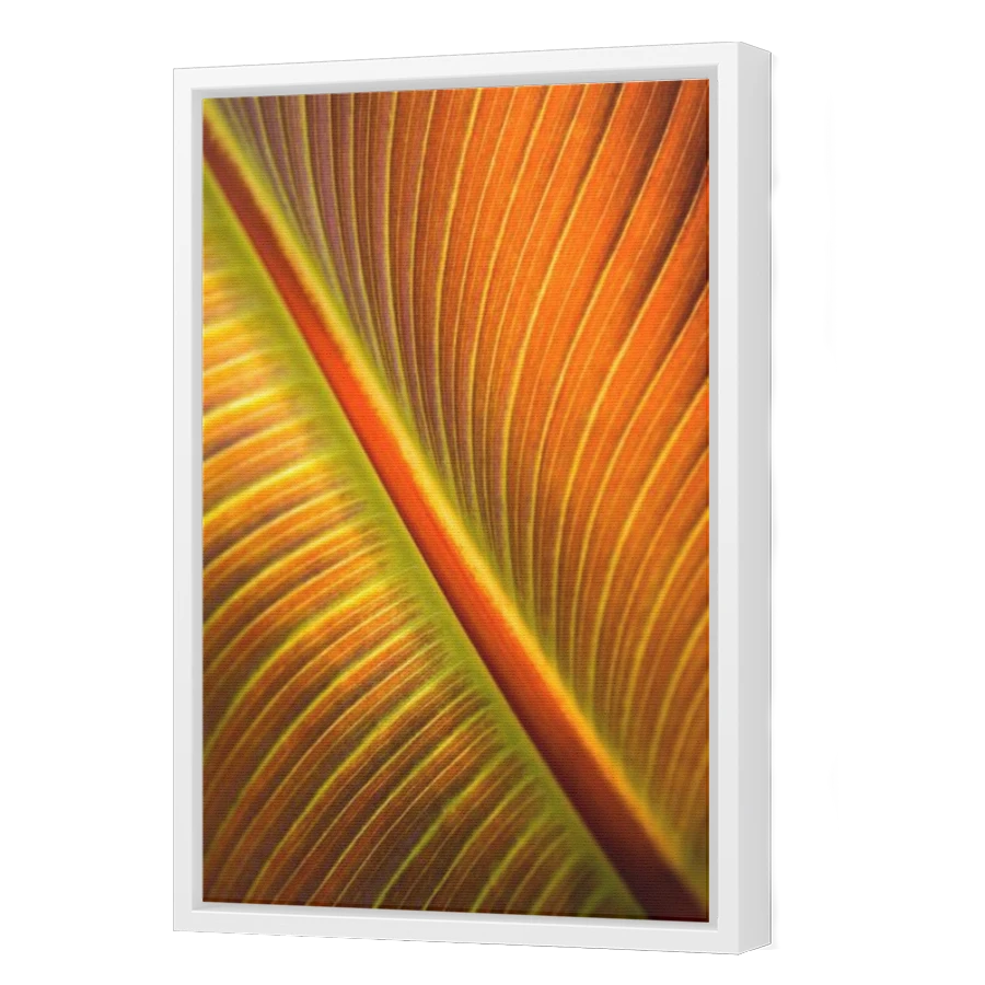 Thumbnail for Canvas - White Floating Frame