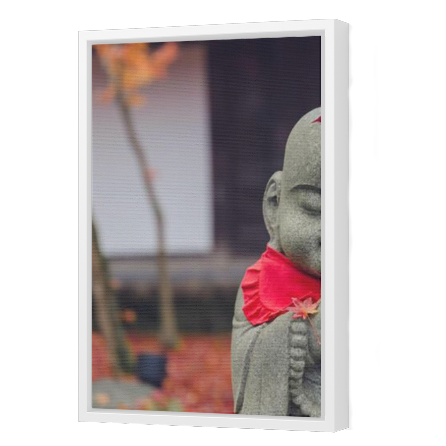 Thumbnail for Canvas - White Floating Frame