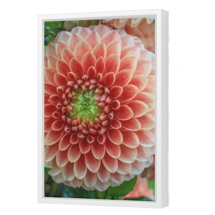 Thumbnail for Canvas - White Floating Frame