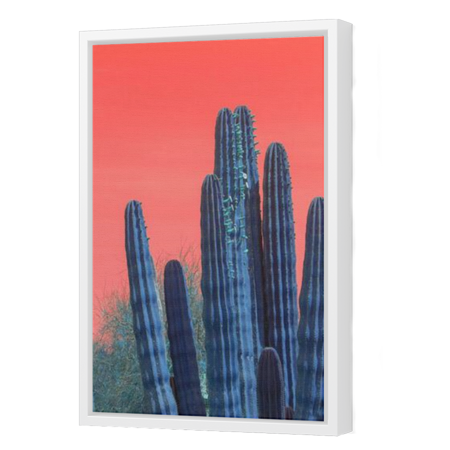 Thumbnail for Canvas - White Floating Frame