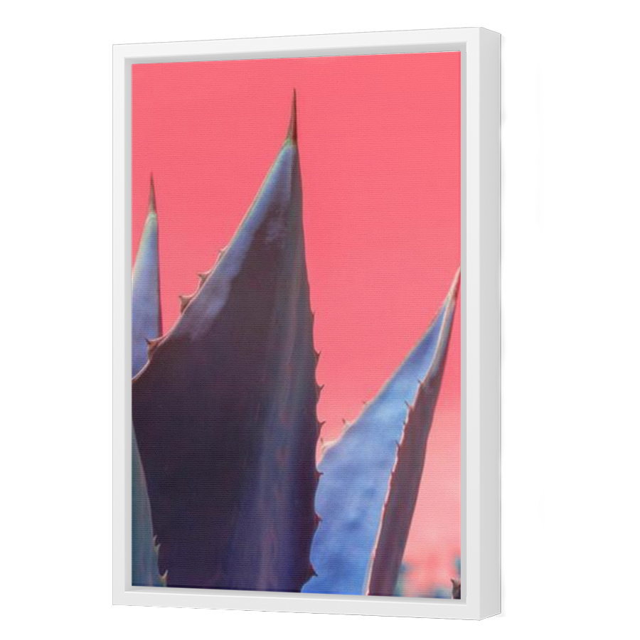 Thumbnail for Canvas - White Floating Frame