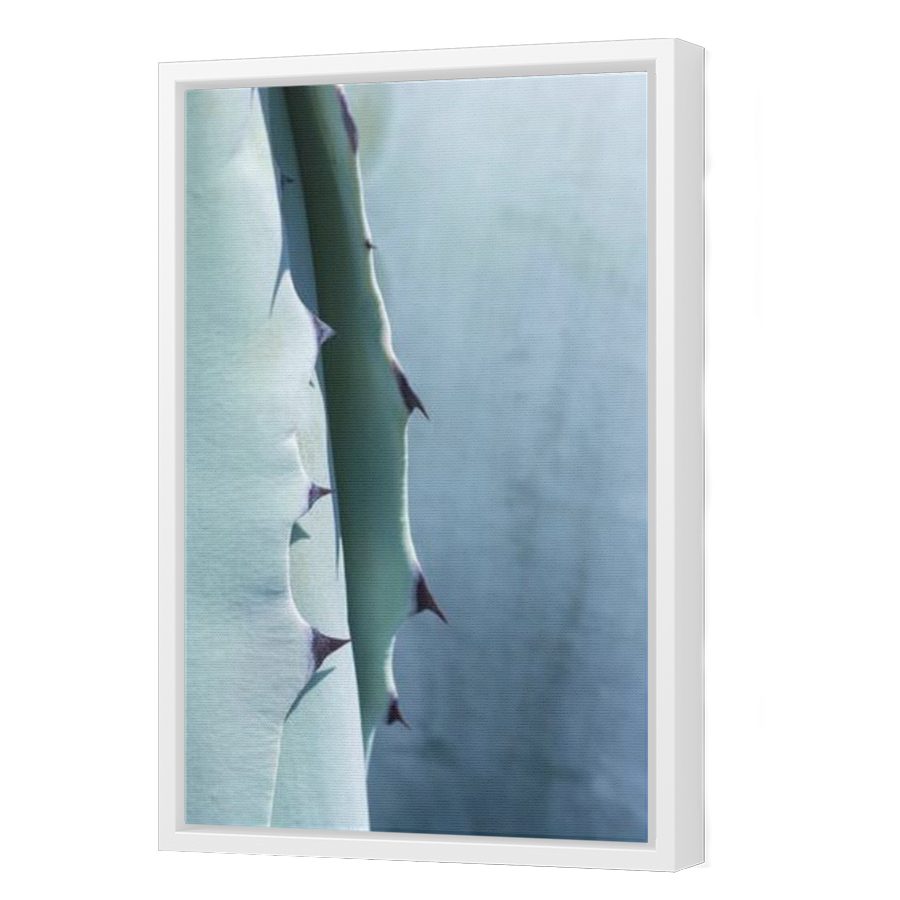 Thumbnail for Canvas - White Floating Frame