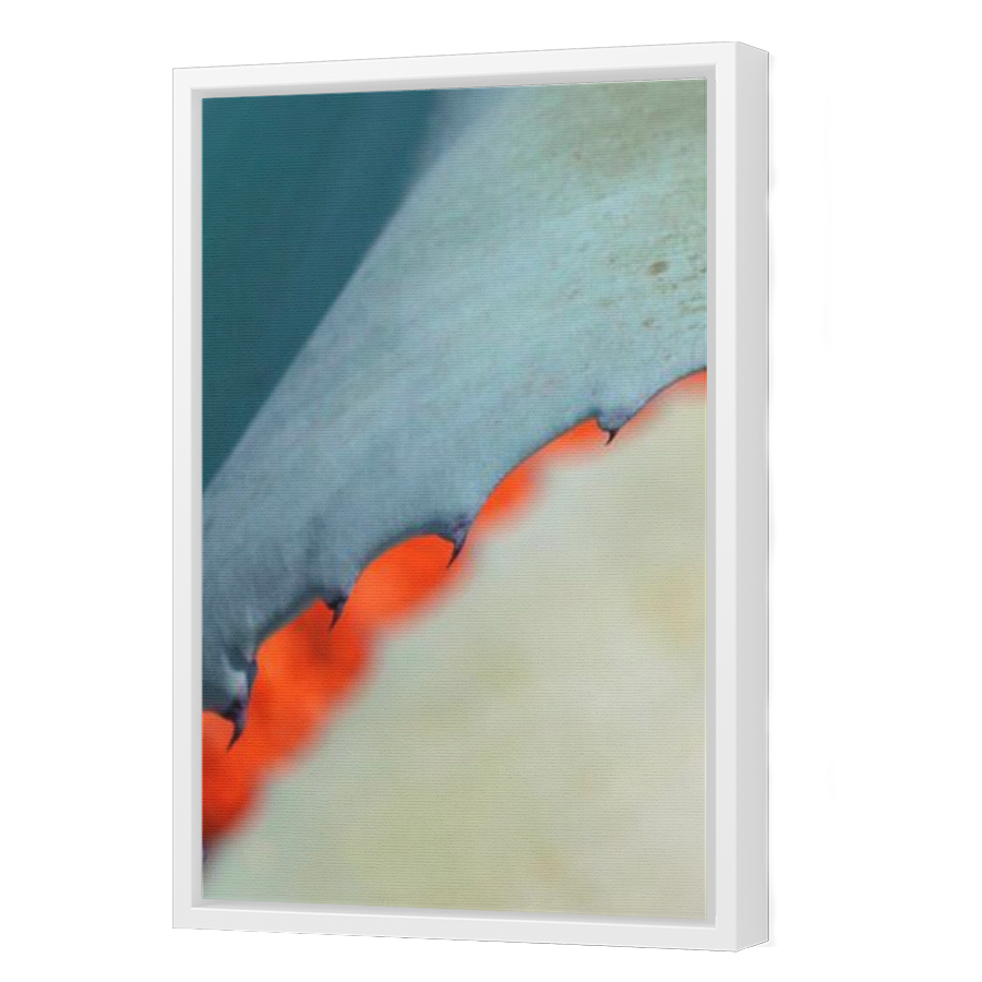 Thumbnail for Canvas - White Floating Frame