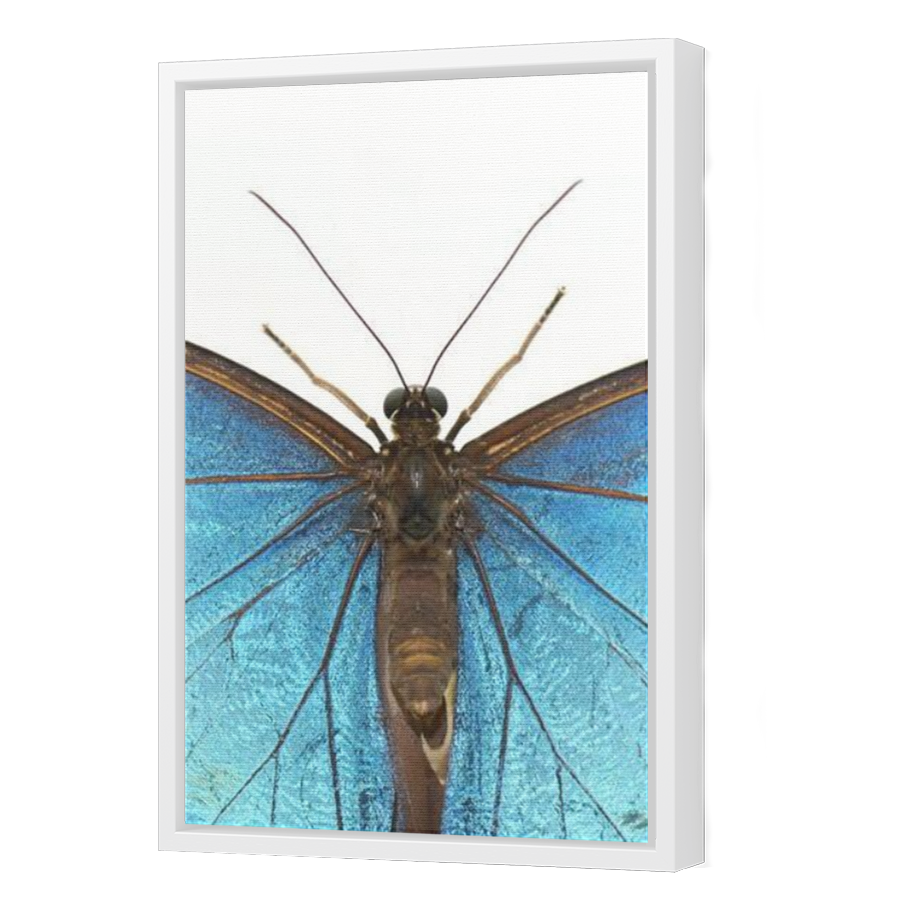 Thumbnail for Canvas - White Floating Frame