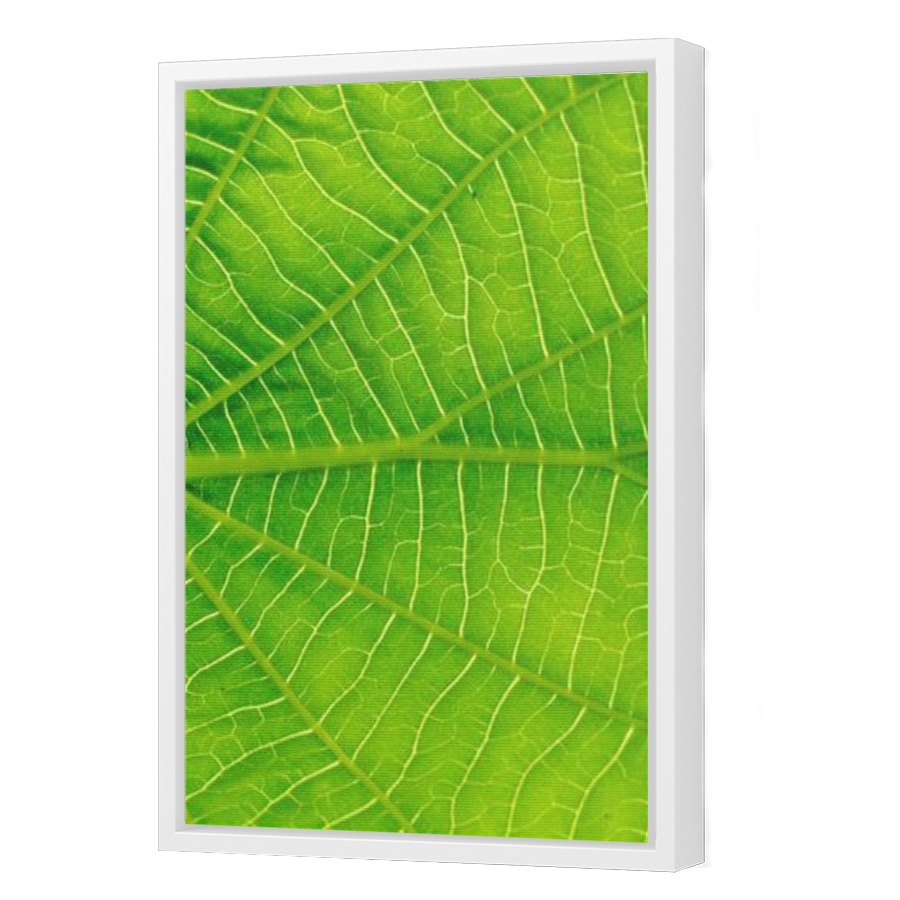 Thumbnail for Canvas - White Floating Frame