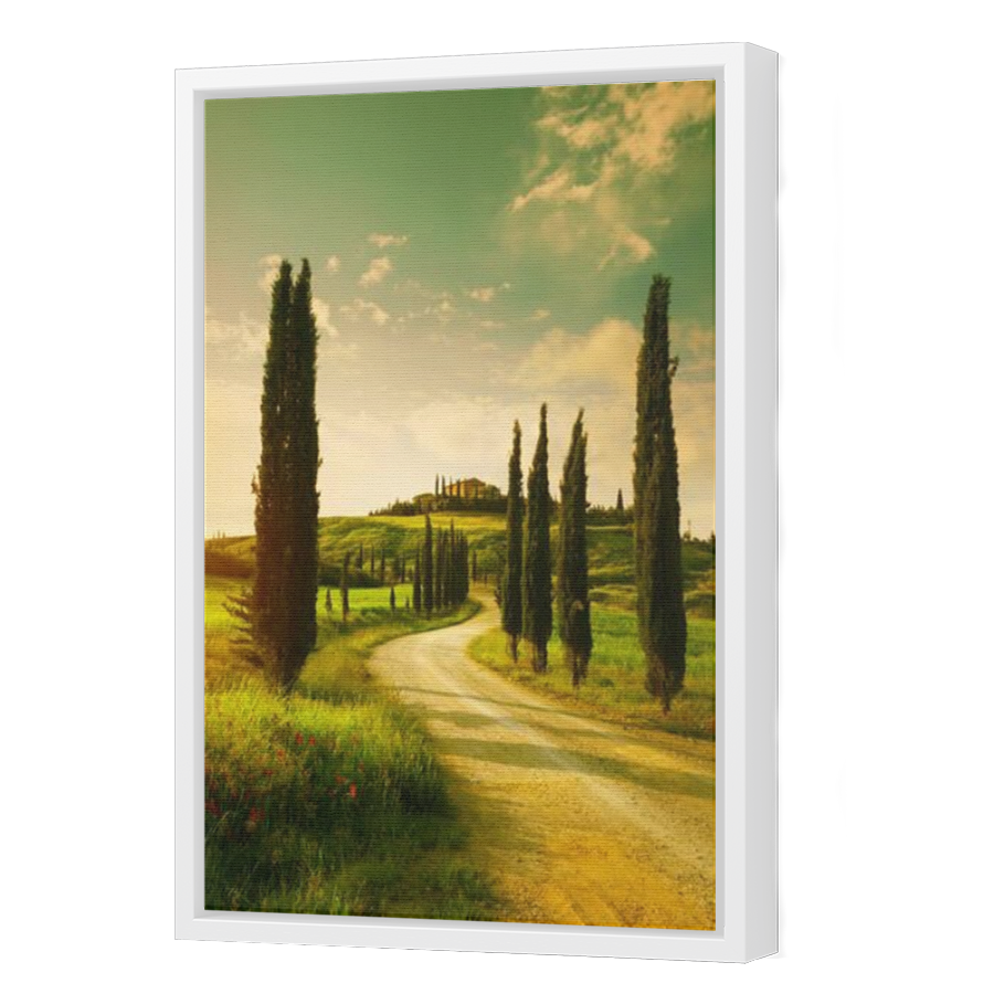Thumbnail for Canvas - White Floating Frame