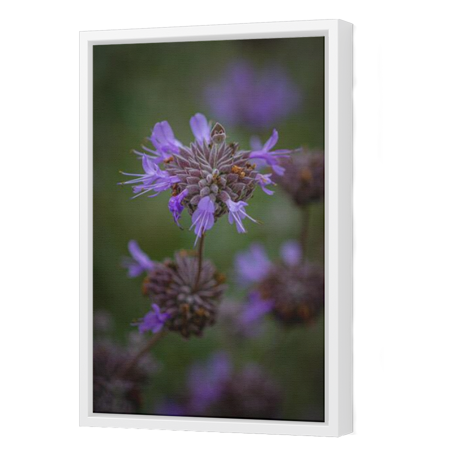 Thumbnail for Canvas - White Floating Frame