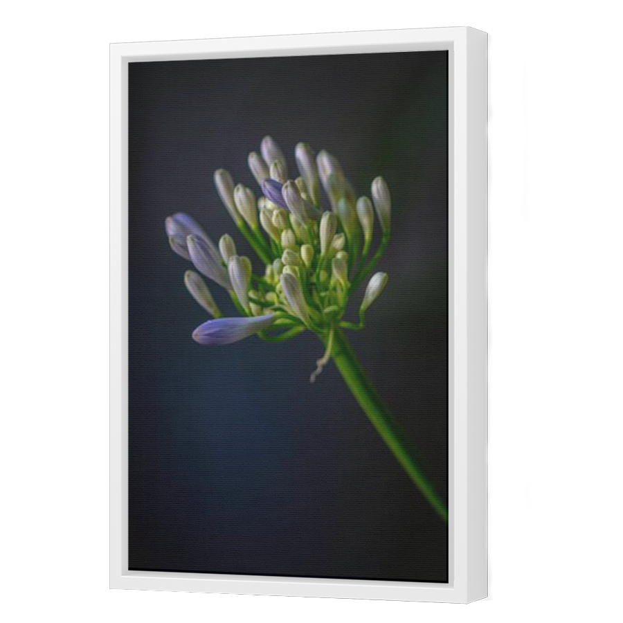 Thumbnail for Canvas - White Floating Frame