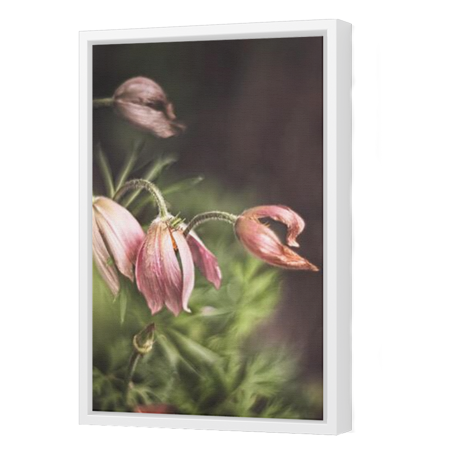 Thumbnail for Canvas - White Floating Frame