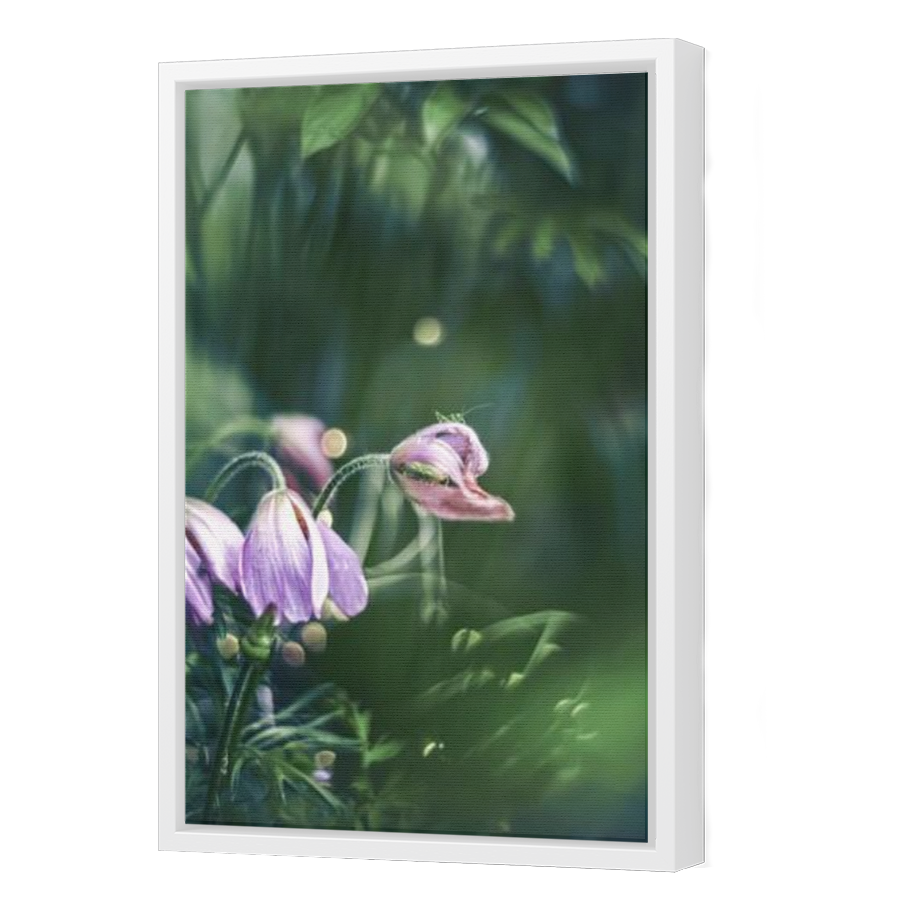 Thumbnail for Canvas - White Floating Frame