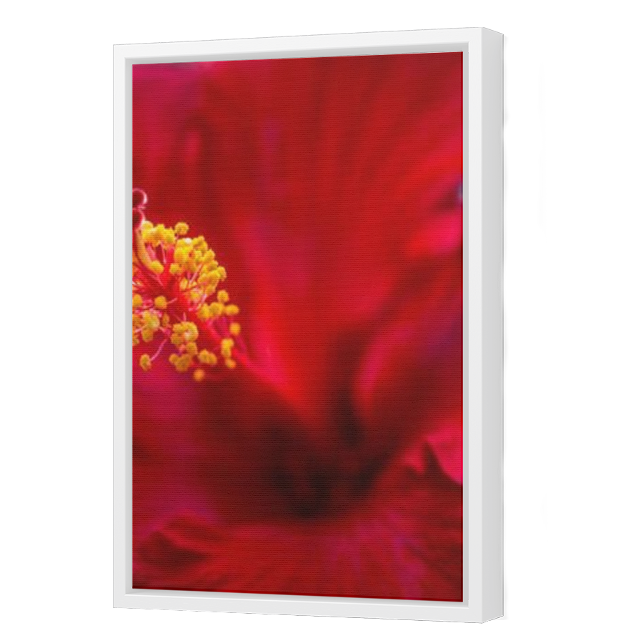 Thumbnail for Canvas - White Floating Frame
