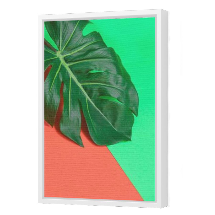 Thumbnail for Canvas - White Floating Frame