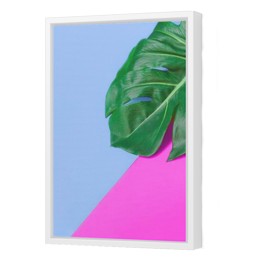 Thumbnail for Canvas - White Floating Frame