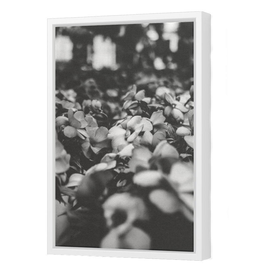 Thumbnail for Canvas - White Floating Frame