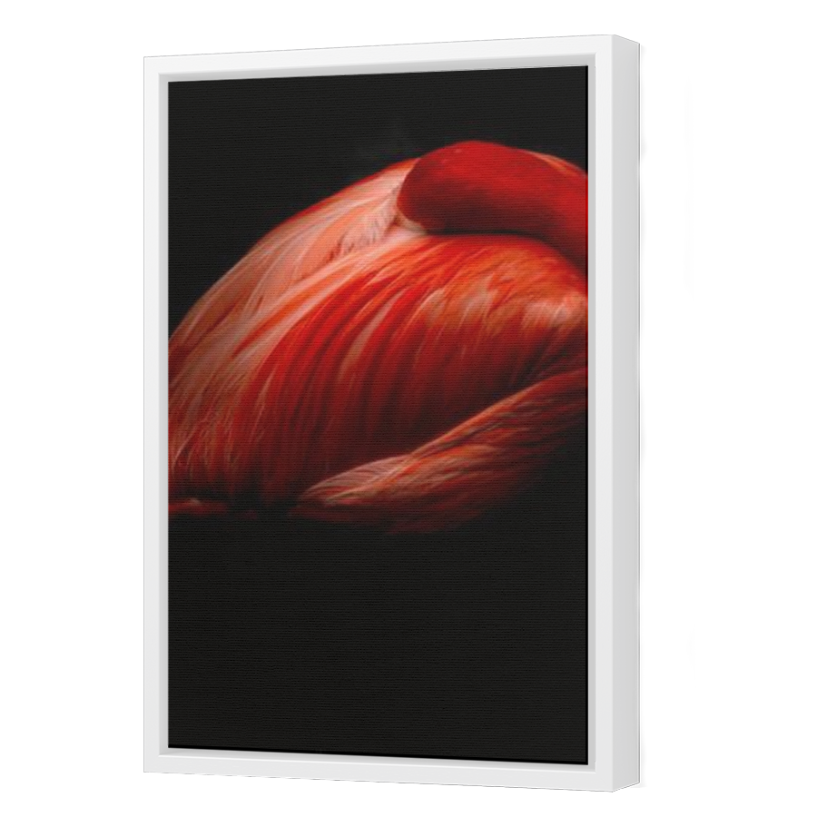 Thumbnail for Canvas - White Floating Frame