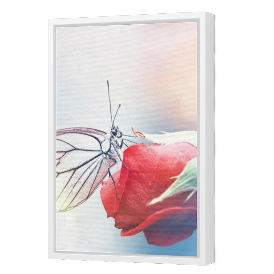 Thumbnail for Canvas - White Floating Frame