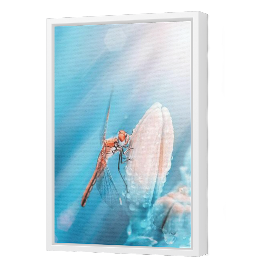 Thumbnail for Canvas - White Floating Frame