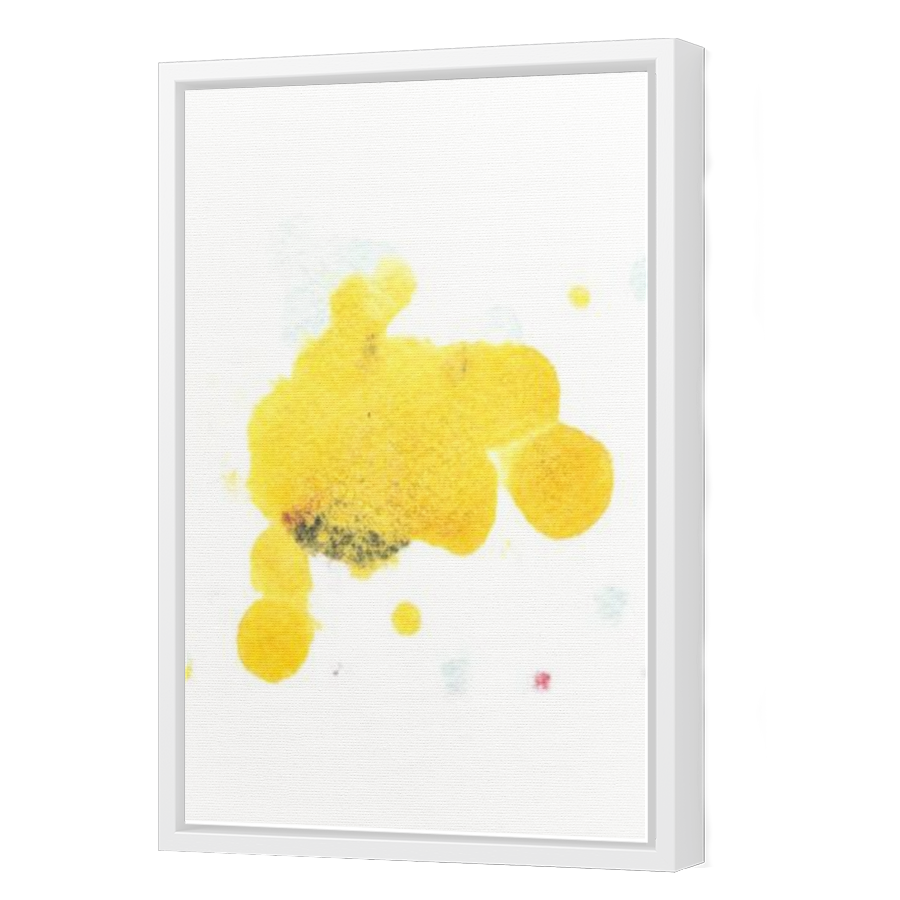 Thumbnail for Canvas - White Floating Frame