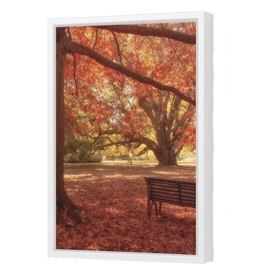 Thumbnail for Canvas - White Floating Frame
