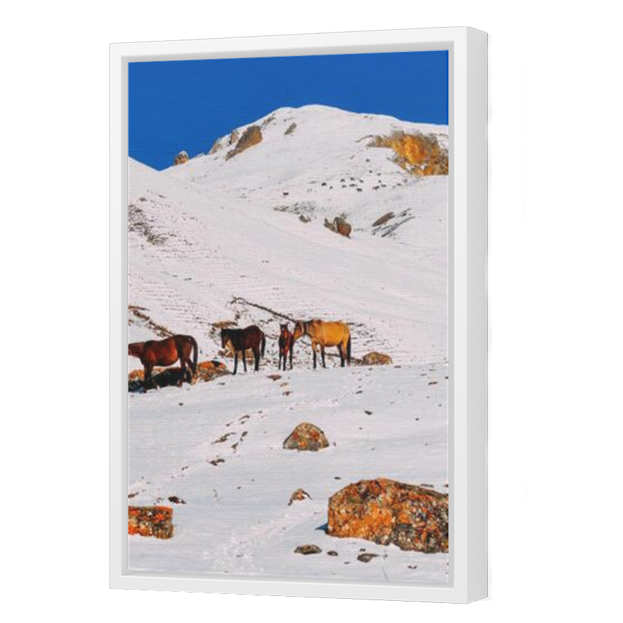 Thumbnail for Canvas - White Floating Frame