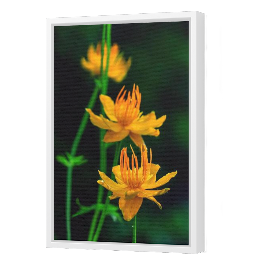 Thumbnail for Canvas - White Floating Frame